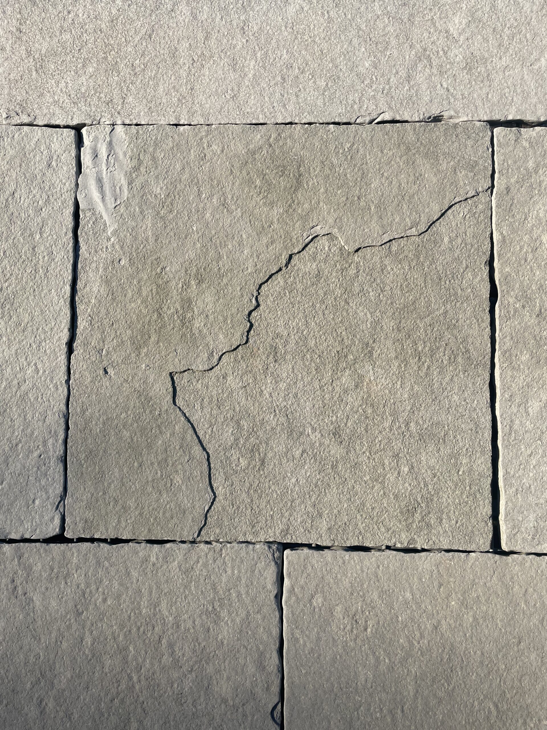 Tuinaanleg Bloembedden Plantenbedden Tuinontwerp Tuinaccessoires Moestuin Tuinmeubilair Beplanting Tuinpad Heggen Tuinverlichting Waterpartij Vijver Tuinboom Perken Grondbedekking Tuinieren Tuinonderhoud Schutting Terras Tuinhuis Bloemenperk Zandbed Groentetuin Heesters Klimplanten Groene vingers Ecologische tuin Tuinarchitect Tuinproject Kruidentuin Composthoop Plantenbakken Tuinontwerper Grasvelden Zaai- en oogstseizoen Tuinieren tips Perennial border Wildbloemen Tuinrenovatie Inheemse planten Tuinregels Eco-vriendelijk tuinieren Verticale tuin Bomen planten Tuinwerkzaamheden Tuinverharding Tuinpaviljoen Biologische tuin Groene daken Siergrassen Zomerbloemen Wintertuin Plantenschema Seizoensgebonden planten Tuinieren voor beginners Veranda Buitenkeuken Tuintafel Tuinbank Speelplaats in de tuin Kindertuin Tuinonderwijs Tuinsoorten Landschapsarchitectuur Opkweekbedden Fruitbomen Bodembedekkers Verzorging van planten Beplantingsplan Tuincentra Plantenlijst Irrigatiesystemen Tuinplanten Buitenleven Tuinwerkzaamheden Tuintrends Tuinfeest Groene vingers Herb garden Zonnebloemen Rozenstruiken Tuinfeestdecoratie Tuinopslag Tuinrenovatie Fruit- en groenteteelt Handgereedschap Tuinontwerp software Plantverzorging Tuinbouw Plantenvermeerderen Biologische bestrijding Natuurlijke vijver Sproeisystemen Tuinonderwijs Water geven Tuinverfrissing Siertuin Groentetuin Berkel en Rodenrijs Rotterdam Bleiswijk Bergschenhoek Hillegersberg Pijnacker Zoetermeer Wassenaar Den Haag Voorburg Leidschendam Waddinxveen Nesselande 24-13 24-13 24-13 24-13 24-13 24-13 24-13 24-13 24-13 24-13 24-13 24-13 24-13