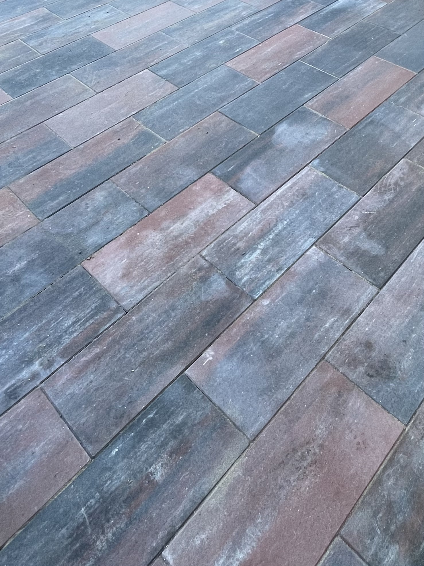 Tuinaanleg Bloembedden Plantenbedden Tuinontwerp Tuinaccessoires Moestuin Tuinmeubilair Beplanting Tuinpad Heggen Tuinverlichting Waterpartij Vijver Tuinboom Perken Grondbedekking Tuinieren Tuinonderhoud Schutting Terras Tuinhuis Bloemenperk Zandbed Groentetuin Heesters Klimplanten Groene vingers Ecologische tuin Tuinarchitect Tuinproject Kruidentuin Composthoop Plantenbakken Tuinontwerper Grasvelden Zaai- en oogstseizoen Tuinieren tips Perennial border Wildbloemen Tuinrenovatie Inheemse planten Tuinregels Eco-vriendelijk tuinieren Verticale tuin Bomen planten Tuinwerkzaamheden Tuinverharding Tuinpaviljoen Biologische tuin Groene daken Siergrassen Zomerbloemen Wintertuin Plantenschema Seizoensgebonden planten Tuinieren voor beginners Veranda Buitenkeuken Tuintafel Tuinbank Speelplaats in de tuin Kindertuin Tuinonderwijs Tuinsoorten Landschapsarchitectuur Opkweekbedden Fruitbomen Bodembedekkers Verzorging van planten Beplantingsplan Tuincentra Plantenlijst Irrigatiesystemen Tuinplanten Buitenleven Tuinwerkzaamheden Tuintrends Tuinfeest Groene vingers Herb garden Zonnebloemen Rozenstruiken Tuinfeestdecoratie Tuinopslag Tuinrenovatie Fruit- en groenteteelt Handgereedschap Tuinontwerp software Plantverzorging Tuinbouw Plantenvermeerderen Biologische bestrijding Natuurlijke vijver Sproeisystemen Tuinonderwijs Water geven Tuinverfrissing Siertuin Groentetuin Berkel en Rodenrijs Rotterdam Bleiswijk Bergschenhoek Hillegersberg Pijnacker Zoetermeer Wassenaar Den Haag Voorburg Leidschendam Waddinxveen Nesselande 24-13 24-13 24-13 24-13 24-13 24-13 24-13 24-13 24-13 24-13 24-13 24-13 24-13