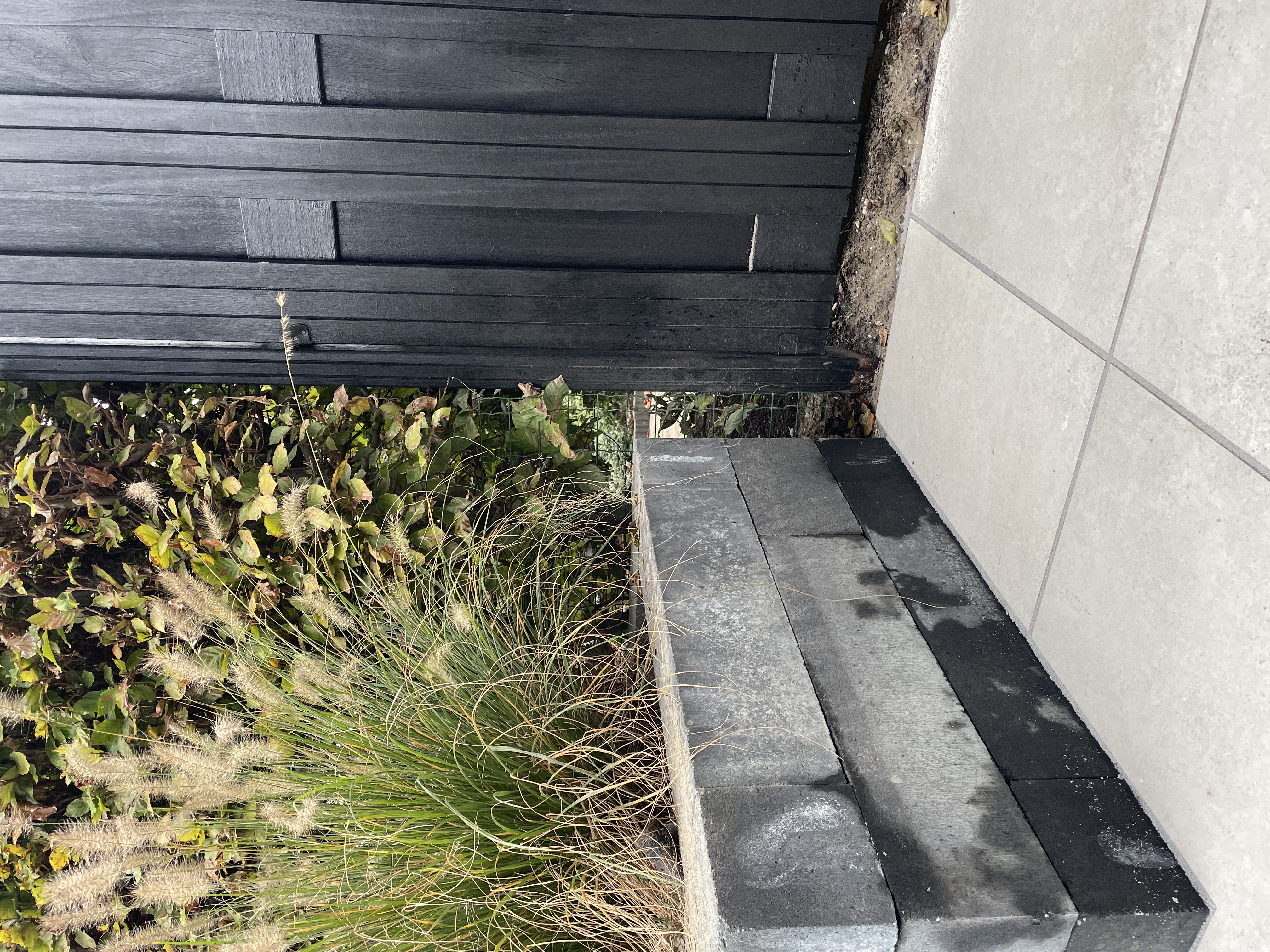 Keramische tegel Actie Goedkoop Goedkope bestrating Goedkope tuintegels Tuintegels keramische tegels buiten keramische tuintegels keramische terrastegels keramische tegels tuin keramische bestrating keramische tegels aanbieding keramische tegels actie keramische tegels kopen keramische tuintegels kopen keramische buitenvloer keramische tegels buiten aanbieding keramische tegels buiten kopen keramische tegel actie goedkope keramische tegels buiten keramische tegels buiten outlet tuintegels keramisch keramische tegels terras keramische tegels oprit keramische tegels tuinpad keramische tegels buitenvloer keramische tegels veranda keramische tegels patio keramische tegels overkapping keramische terrastegels buiten keramische tegels rondom zwembad keramische tuintegels actie keramische terrastegels aanbieding keramische tegels sale keramische tegels korting keramische tegels goedkoop keramische tegels outlet keramische tegels scherpe prijs goedkope keramische terrastegels keramische tuintegels outlet keramische tegels buiten goedkope prijs grijze keramische tegels buiten antraciet keramische tegels betonlook keramische tegels houtlook keramische tegels buiten keramische tegels natuursteenlook beige keramische tuintegels zwarte keramische tegels buiten lichte keramische tegels buiten moderne keramische terrastegels luxe keramische tegels buiten keramische tegels 60x60 buiten keramische tegels 80x80 buiten keramische tegels 90x90 buiten keramische tegels 120x60 buiten keramische tuintegels dikte 2 cm keramische tegels antislip keramische tegels vorstbestendig keramische tegels onderhoudsvrij keramische tegels slijtvast keramische tegels duurzaam keramische tegels terras leggen keramische tegels buiten leggen keramische tegels voor tuinproject keramische tegels voor oprit keramische tegels voor buitenvloer keramische tegels rondom vijver keramische tegels voor tuinaanleg keramische tegels voor bestrating keramische tegels bij overkapping keramische tegels buiten project keramische tegels groothandel keramische tegels aannemer keramische tegels stratenmaker keramische tegels voor hoveniers keramische tegels voor tuinaanlegbedrijf keramische tegels buiten leverancier keramische tegels importeur keramische tegels buiten zakelijk keramische tegels bouwproject keramische tegels aanlegservice keramische actietegel voor buiten keramische actietegel tuin keramische actietegel terras keramische tuintegel aanbieding keramische tegel actie buiten keramische tegel aanbieding tuin keramische tegels buiten beste prijs keramische tegels buiten aanbieding 2025 keramische tegels buiten goedkoop kopen keramische tuintegels scherp geprijsd keramische tegels buiten Berkel en Rodenrijs keramische tegels tuin Berkel en Rodenrijs keramische terrastegels Zuid Holland keramische tuintegels Lansingerland keramische tegels aanleg Lansingerland buiten tegels keramisch sierbestrating keramisch keramische klinkers keramische vloer buiten keramische tegels 2 cm dik keramische tegels tuin idee keramische tegels buiten inspiratie keramische tegels laten leggen keramische tegels complete set keramische tegels projectkorting